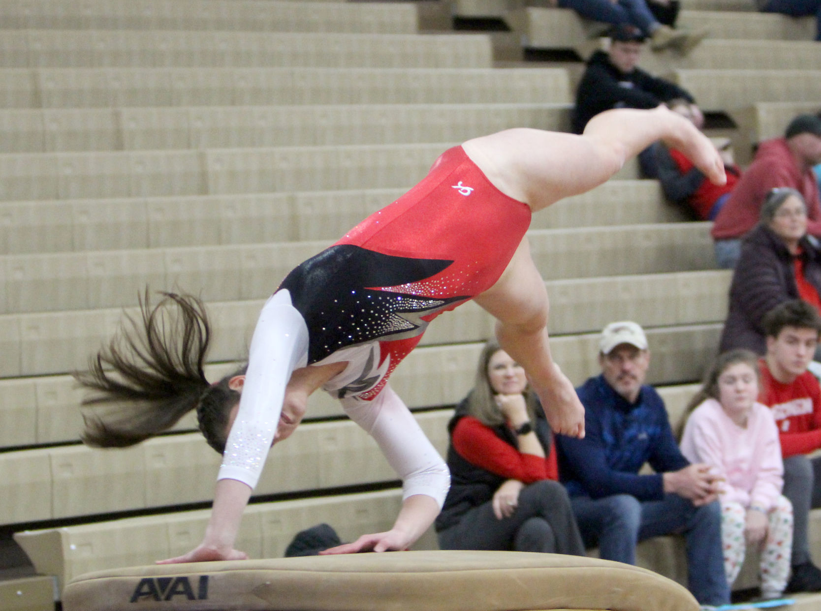 Chi-Hi Gymnastics Triangular 1-17-19